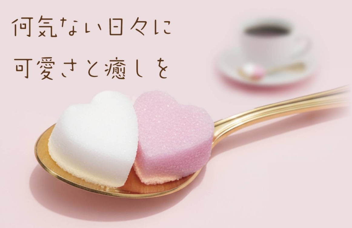 店内イメージ